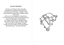 Load image into Gallery viewer, Kitten Zine