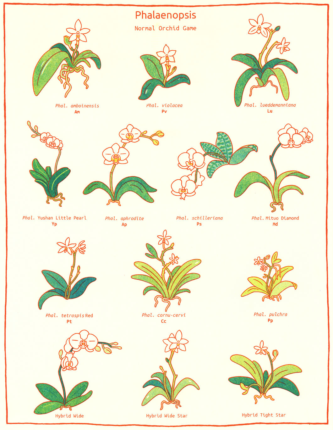 Phalaenopsis Risograph Print