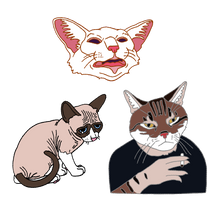 Load image into Gallery viewer, Feline Expression Pins
