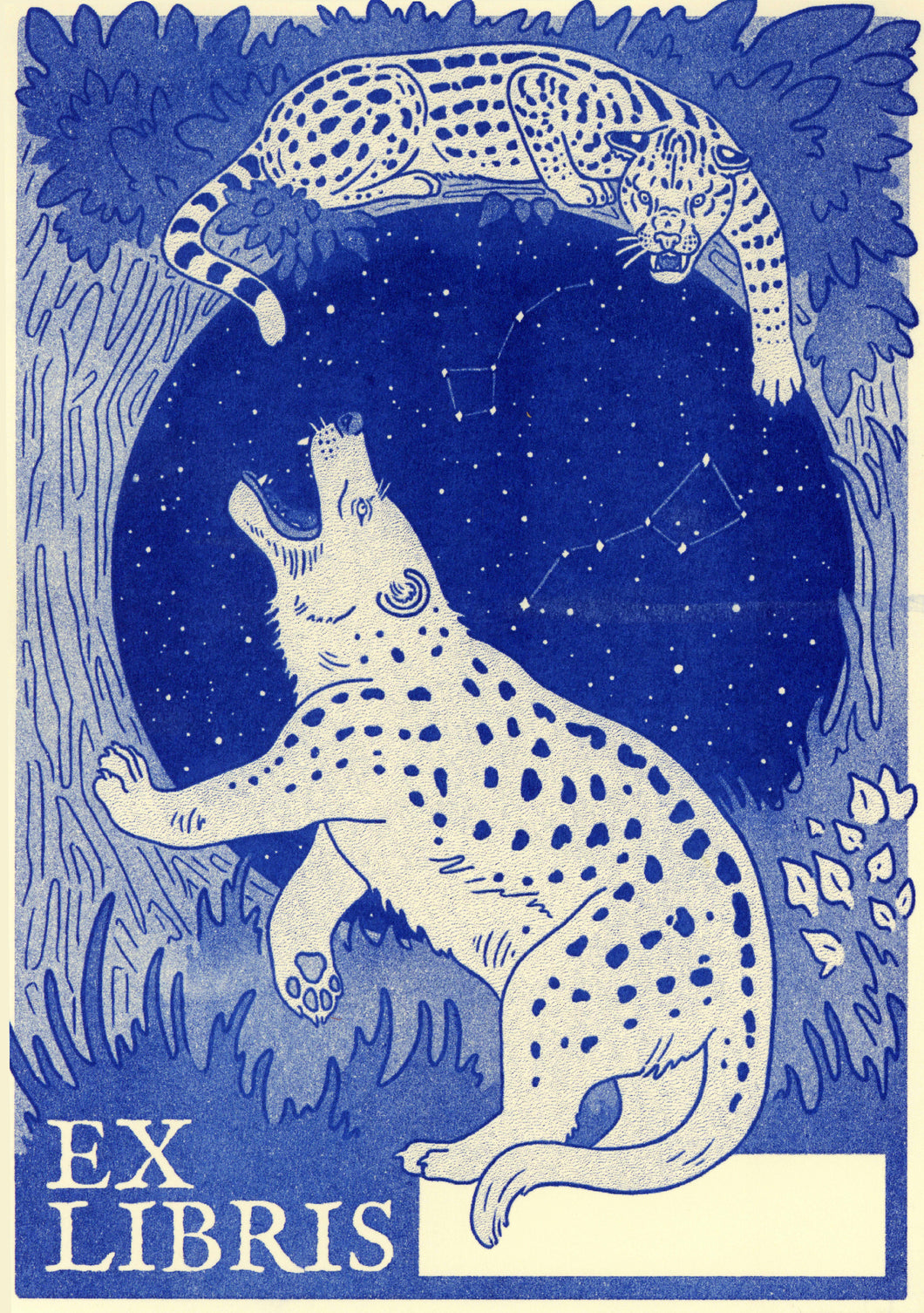 Early Mammals Bookplate