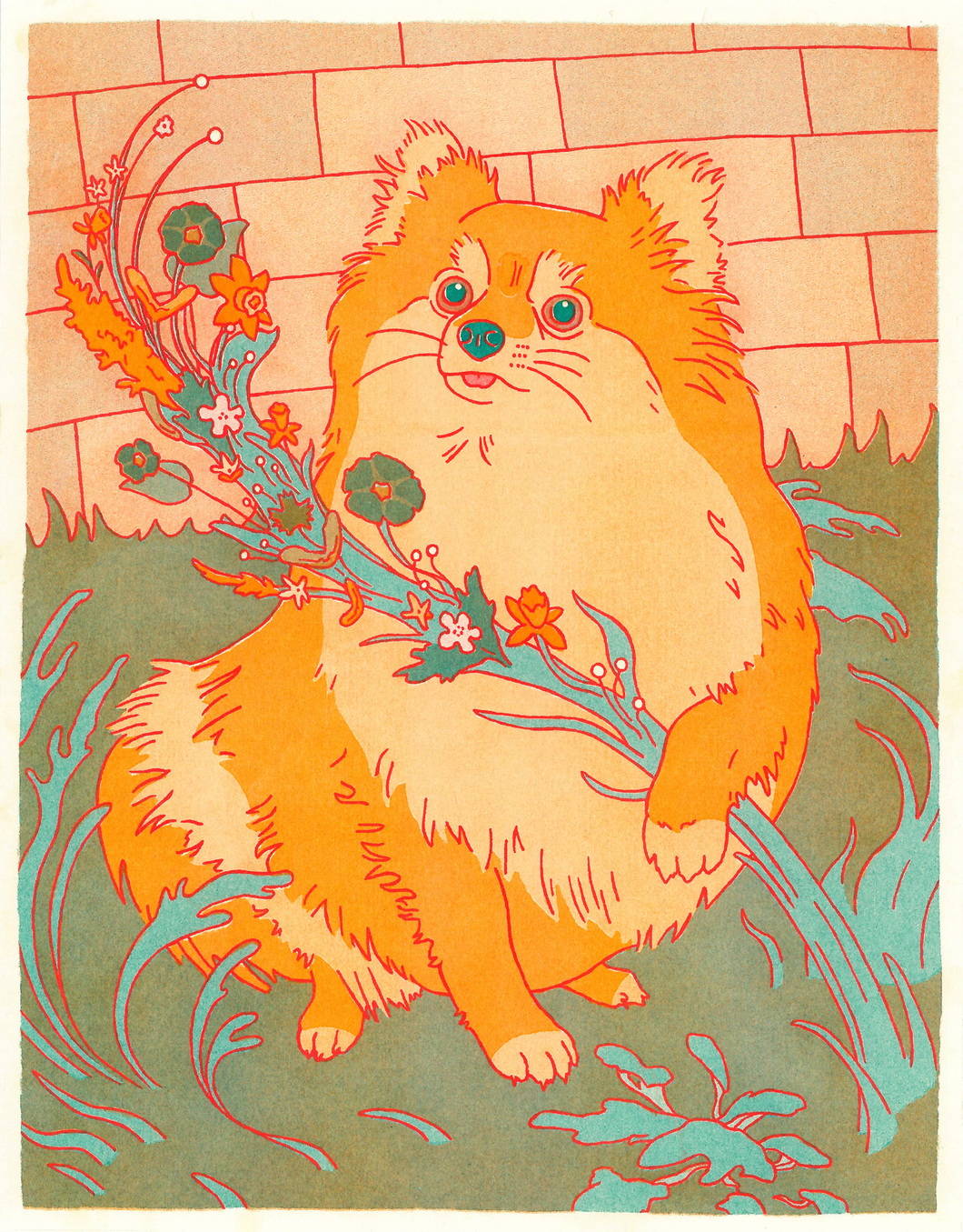 Pomeranian