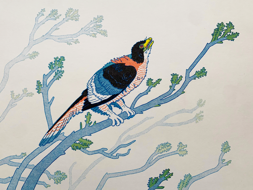 Archaeopteryx Risograph Print