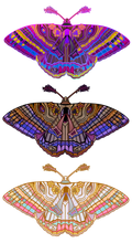 Load image into Gallery viewer, Witch Moth Stickers
