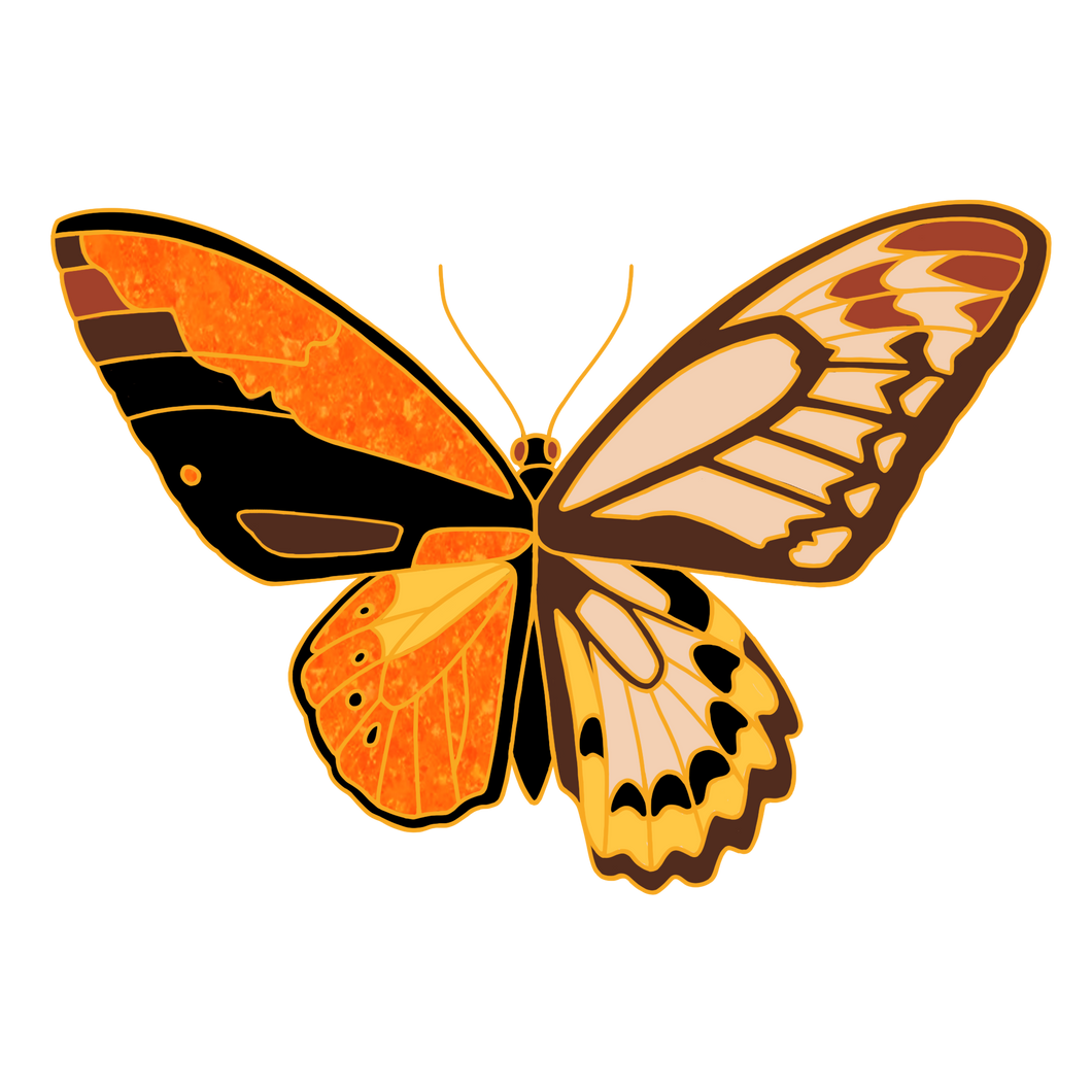 Bilateral Gynandromorph Pins