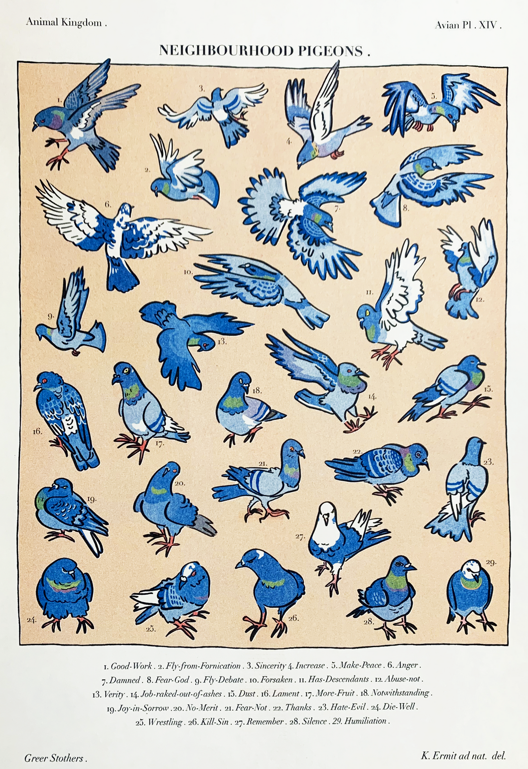 Pigeon Prints