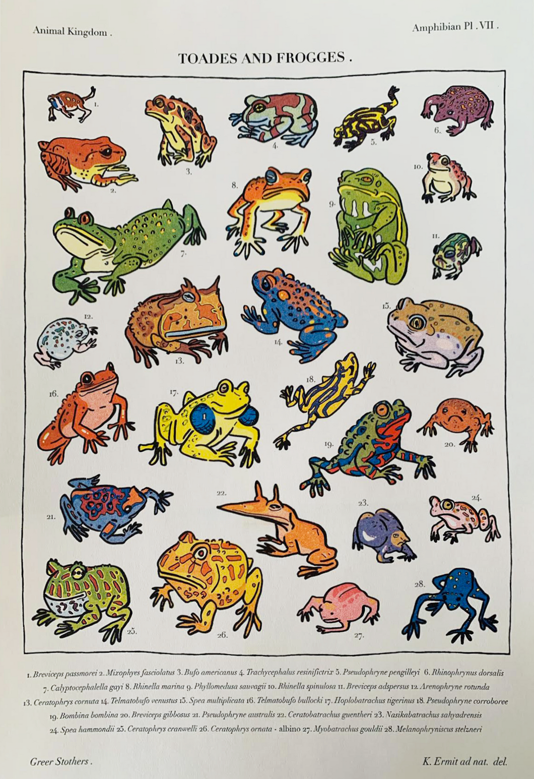 Toad Prints